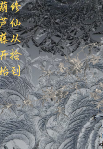 修仙从捡到葫芦藤开始