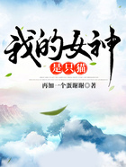 我的女神是只猫