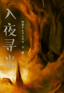 入夜寻光