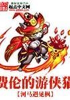费伦的游侠猫