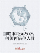 重瞳本是无敌路,何须再借他人骨在线阅读