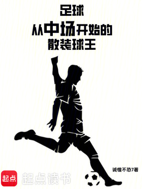 足球：从中场开始的散装球王在线阅读