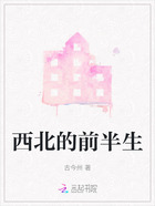 西北的前半生在线阅读