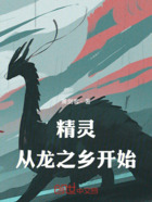 精灵：从龙之乡开始在线阅读