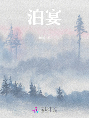 泊宴在线阅读