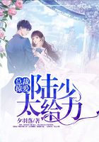 总裁掠爱:陆少,太给力在线阅读