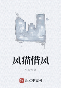 風(fēng)貓惜風(fēng)