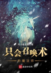 只會召喚術的魔法師