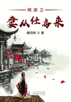 網游之妻從任務來在線閱讀