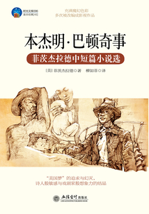 本杰明·巴頓奇事（菲茨杰拉德中短篇小說選）