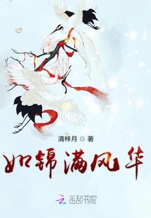 如锦满风华
