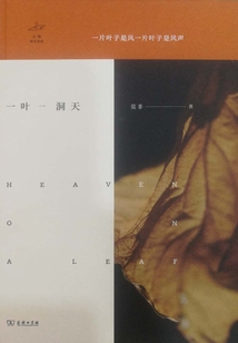 一叶一洞天