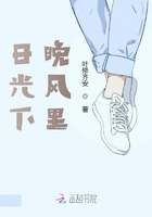 日光下晚風里在線閱讀