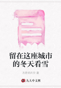 留在這座城市的冬天看雪