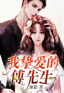 我摯愛的傅先生