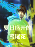 夏日盛开的鸢尾花在线阅读
