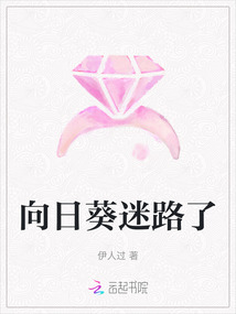 向日葵迷路了