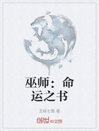 巫师:命运之书在线阅读