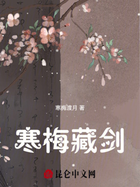 寒梅藏剑在线阅读