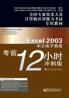 Excel 2003中文电子表格考前12小时在线阅读