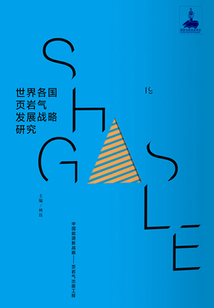 世界各國頁巖氣發展戰略研究