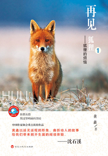 再見，狐貍1：狐貍的煩惱