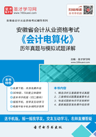 安徽省会计从业资格考试《会计电算化》历年真题与模拟试题详解在线阅读