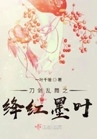 刀剑乱舞之绛红墨叶在线阅读
