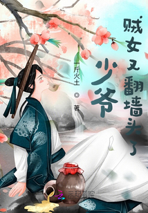 少爺，賊女又翻墻頭了