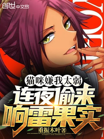 貓咪嫌我太弱,連夜偷來響雷果實