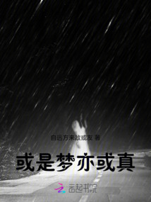 或夢亦或真