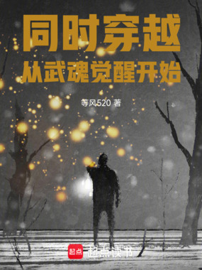 同时穿越：从武魂觉醒开始在线阅读