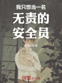 我只想當一名無責的安全員