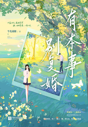 有本事别复婚在线阅读