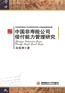 中国非寿险公司偿付能力管理研究