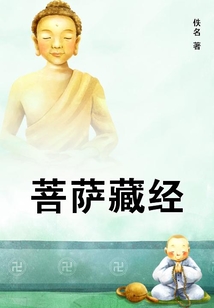 菩薩藏經