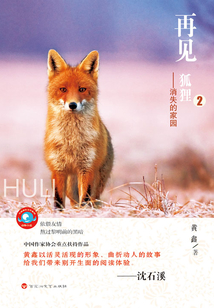 再見，狐貍2：消失的家園