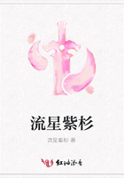 流星紫杉在線閱讀