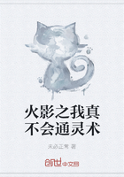 火影之我真不會(huì)通靈術(shù)在線(xiàn)閱讀