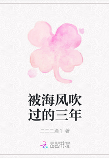 被海風吹過的三年