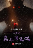 真三之無雙宗師在線閱讀