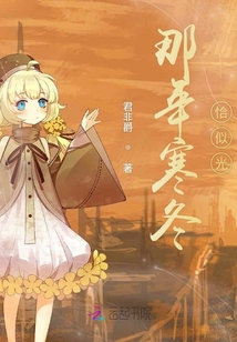 那年寒冬恰似光