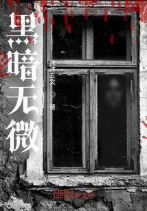 黑暗無(wú)微