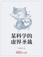 某科学的虚界圣裁在线阅读