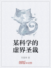 某科學的虛界圣裁