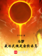 斗罗:我的武魂是金轮赤乌在线阅读