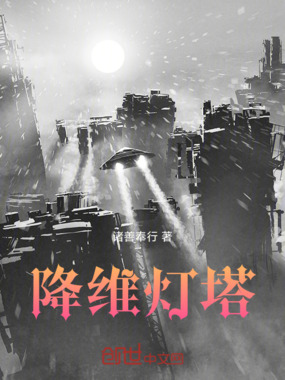 降维灯塔在线阅读