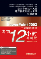 PowerPoint 2003中文演示文稿考前12小时在线阅读