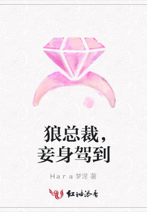 狼總裁，妾身駕到