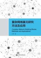 复杂网络基元研究方法及应用